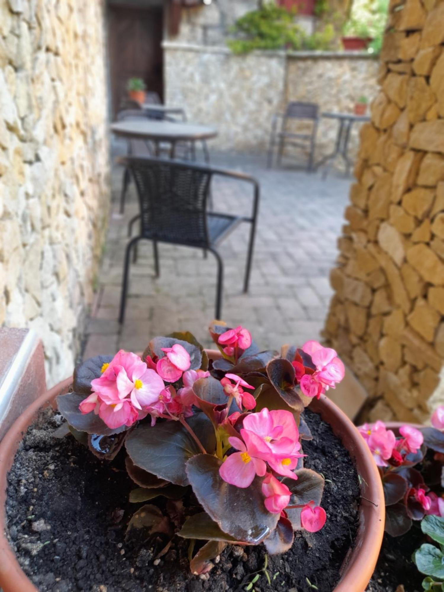 Harmonia Wellness Villa Szilvasvarad Luaran gambar