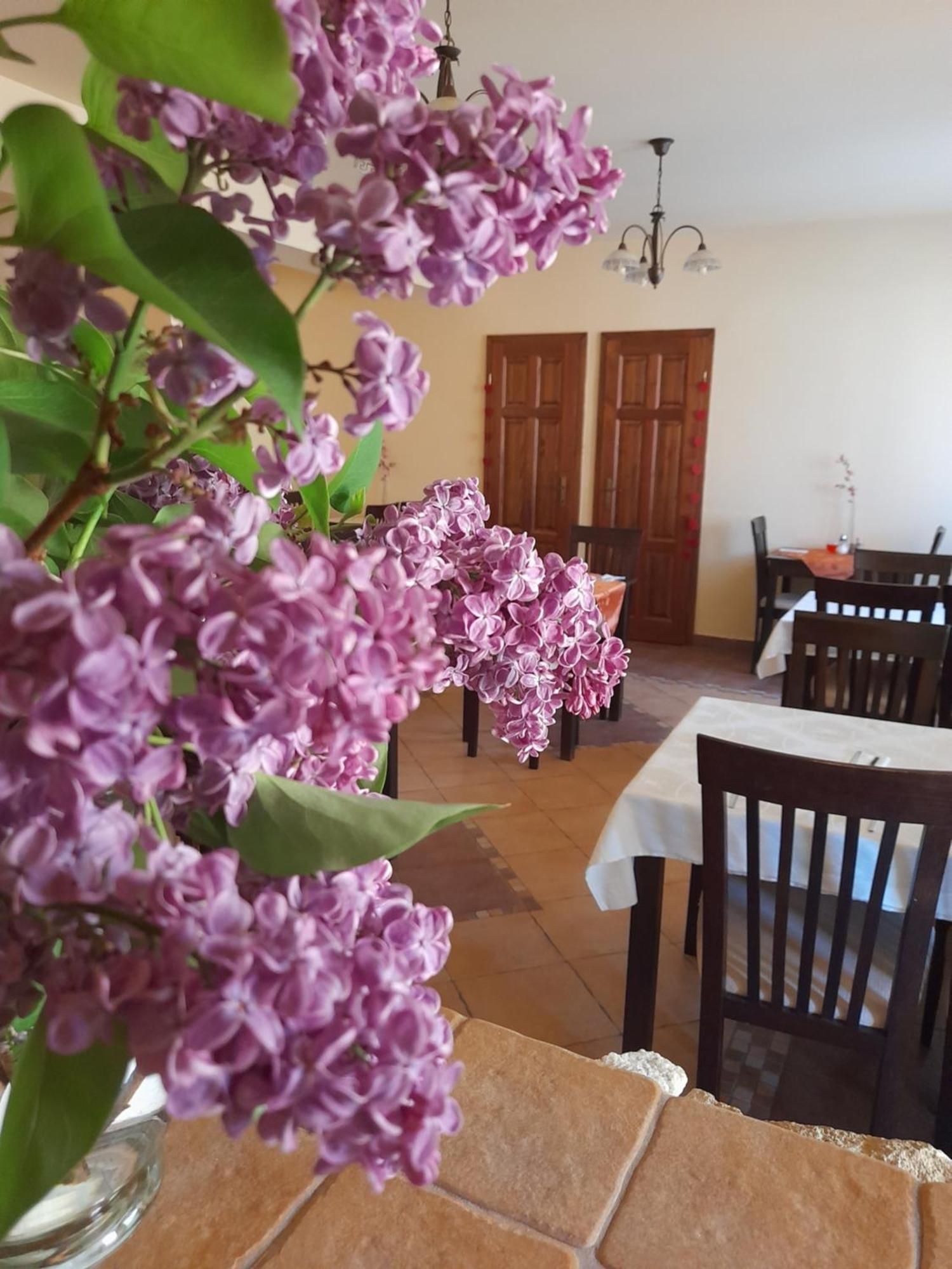 Harmonia Wellness Villa Szilvasvarad Luaran gambar
